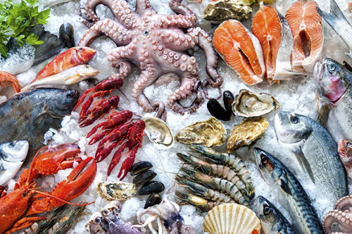 Hình ảnh: Hải sản ảnh hưởng nhiều đến người bị bệnh mề đay
