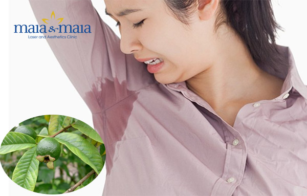 Cách trị hôi nách tại nhà bằng lá ổi Cách trị hôi nách tại nhà bằng lá ổi