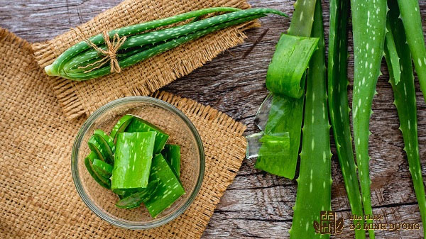 Chữa mề đay bằng nha đam Chữa mề đay bằng nha đam