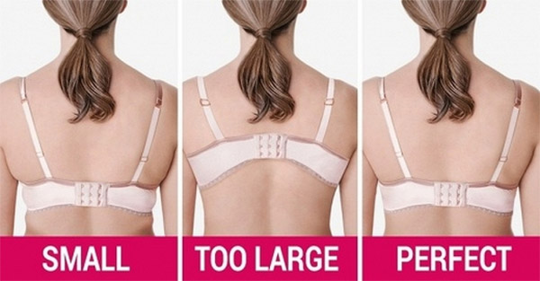Mặc áo ngực không đúng size Mặc áo ngực không đúng size