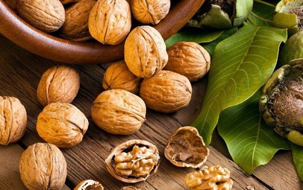 Quả óc chó là nguồn bổ sung vitamin B7 vô cùng tốt