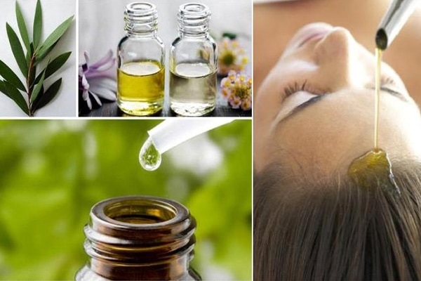 Sử dụng tinh dầu tràm trà trong điều trị rụng tóc