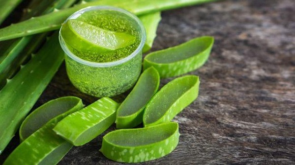 Chăm sóc tóc bằng nha đam giúp thúc đẩy sự phát triển của tóc