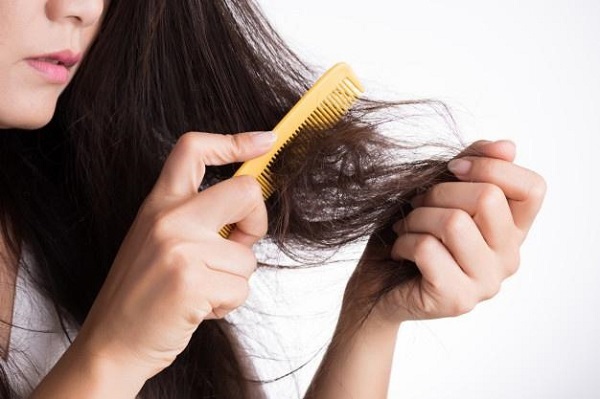 Tóc rụng nhiều khi chải tóc