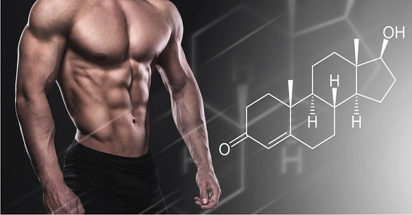 DHT có vai trò quan trọng trong việc hình thành các đặc điểm giới tính