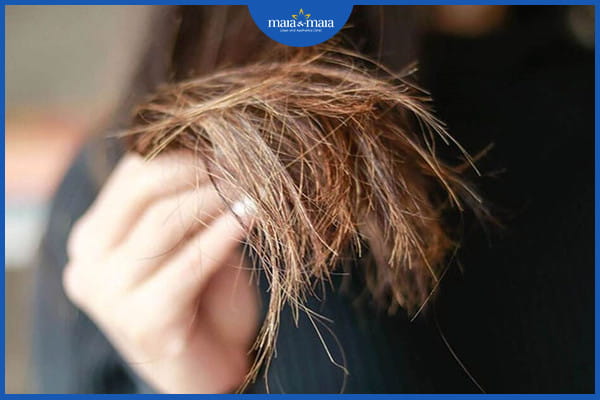 Gội đầu nhiều có rụng tóc không