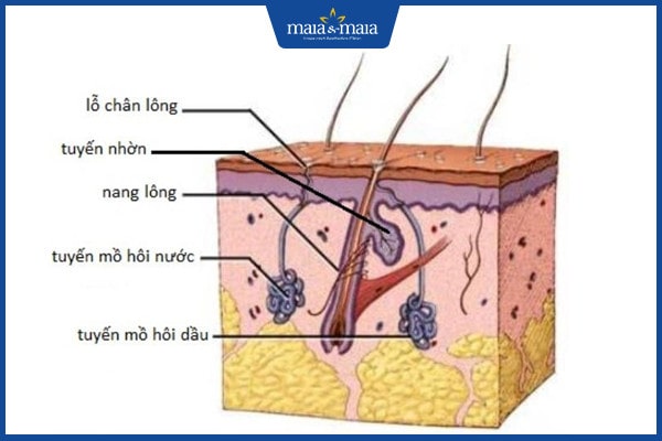 có cách nào khử mùi hôi cơ thể